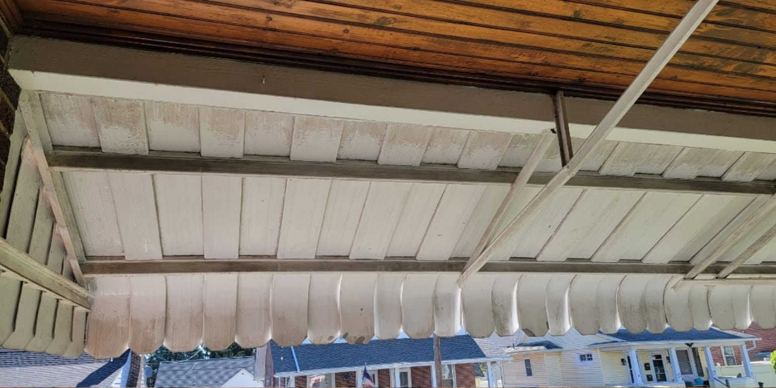 Ceiling with wooden beams, white panels, and a blue scalloped awning below