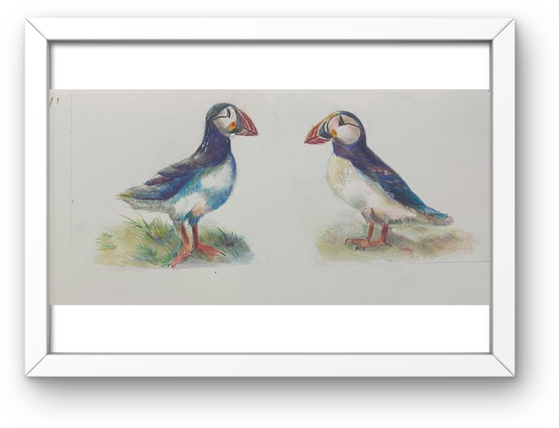 Two puffins, blue and white plumage, red beaks, standing on grassy patches.