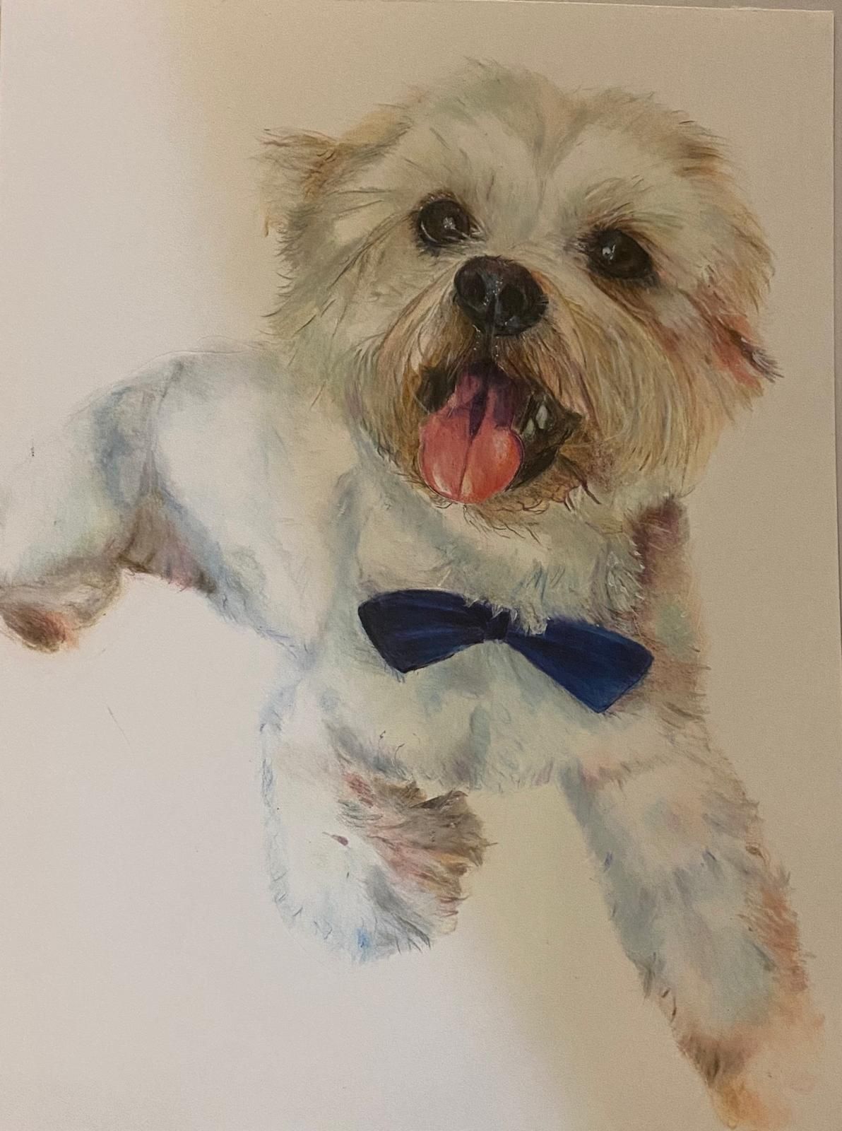 White dog with open mouth, wearing a blue bow tie, painted in watercolor, against a white background.
