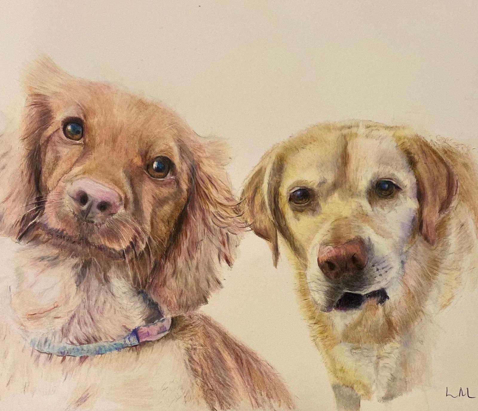 Two dogs: a brown spaniel tilting its head and a yellow lab with an open mouth, against a light background.