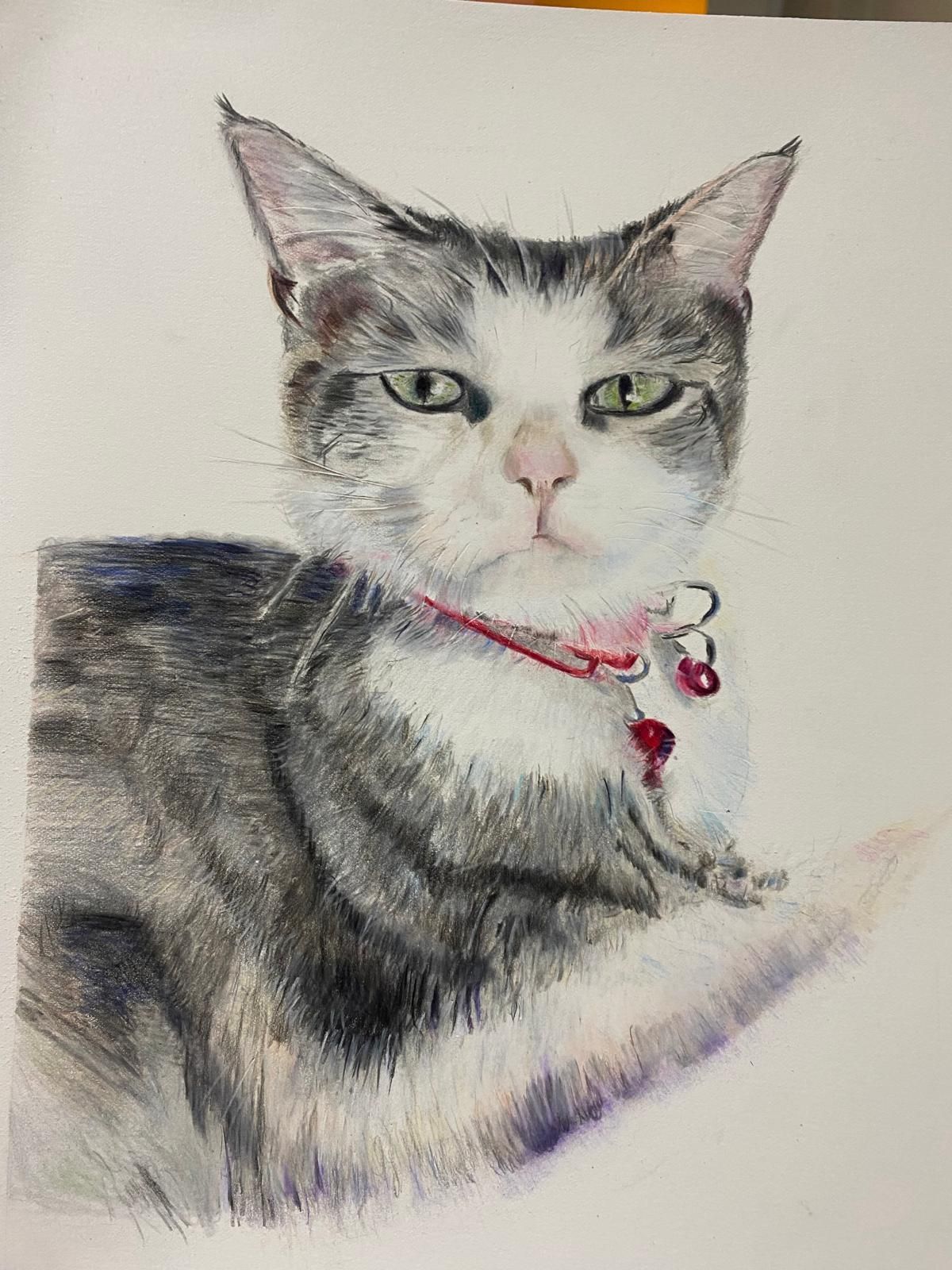 Watercolor portrait of a gray and white cat wearing a red collar, with green eyes and a serious expression.