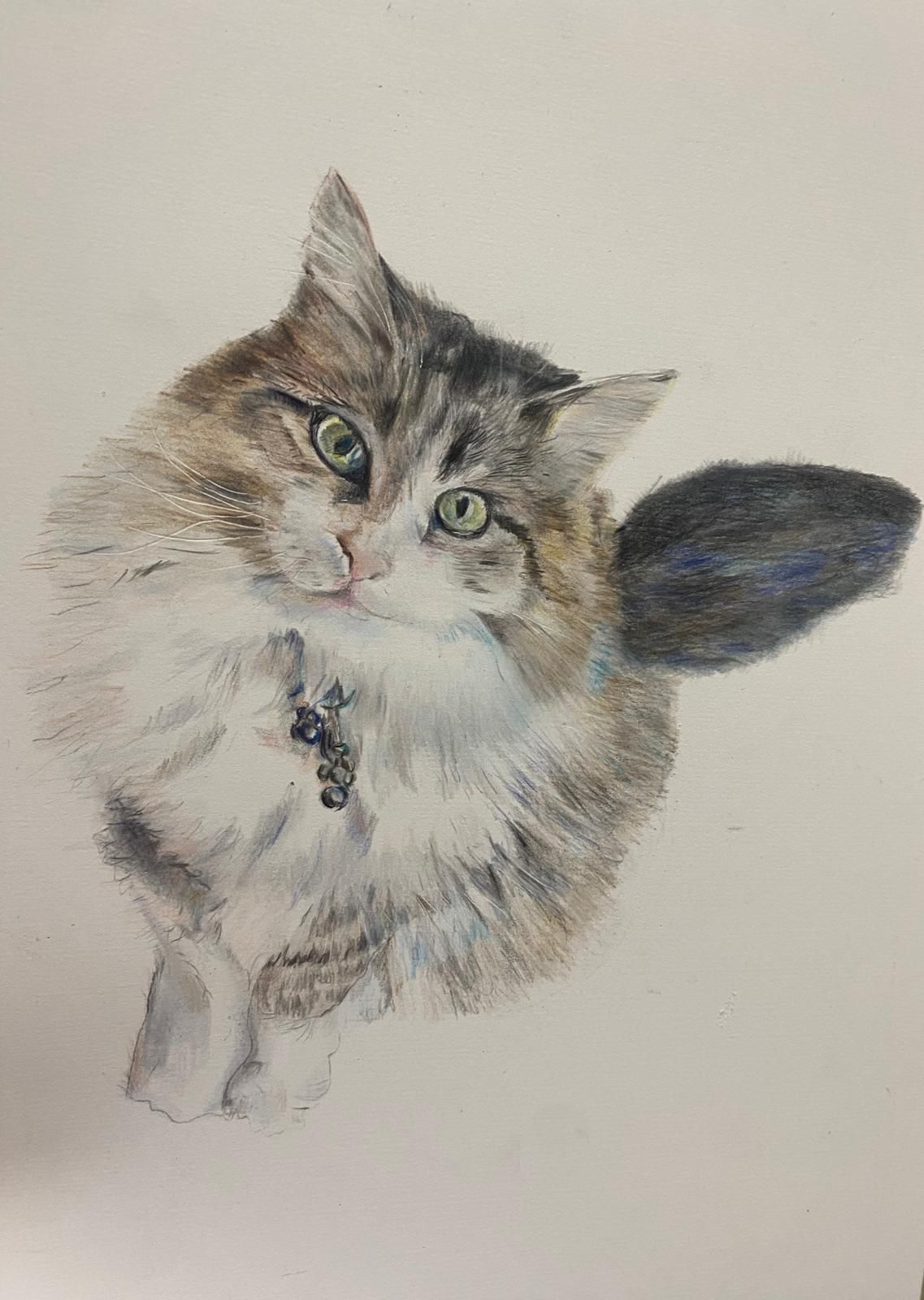 Fluffy cat with green eyes and a collar, looking up. Gray, brown, and white fur.