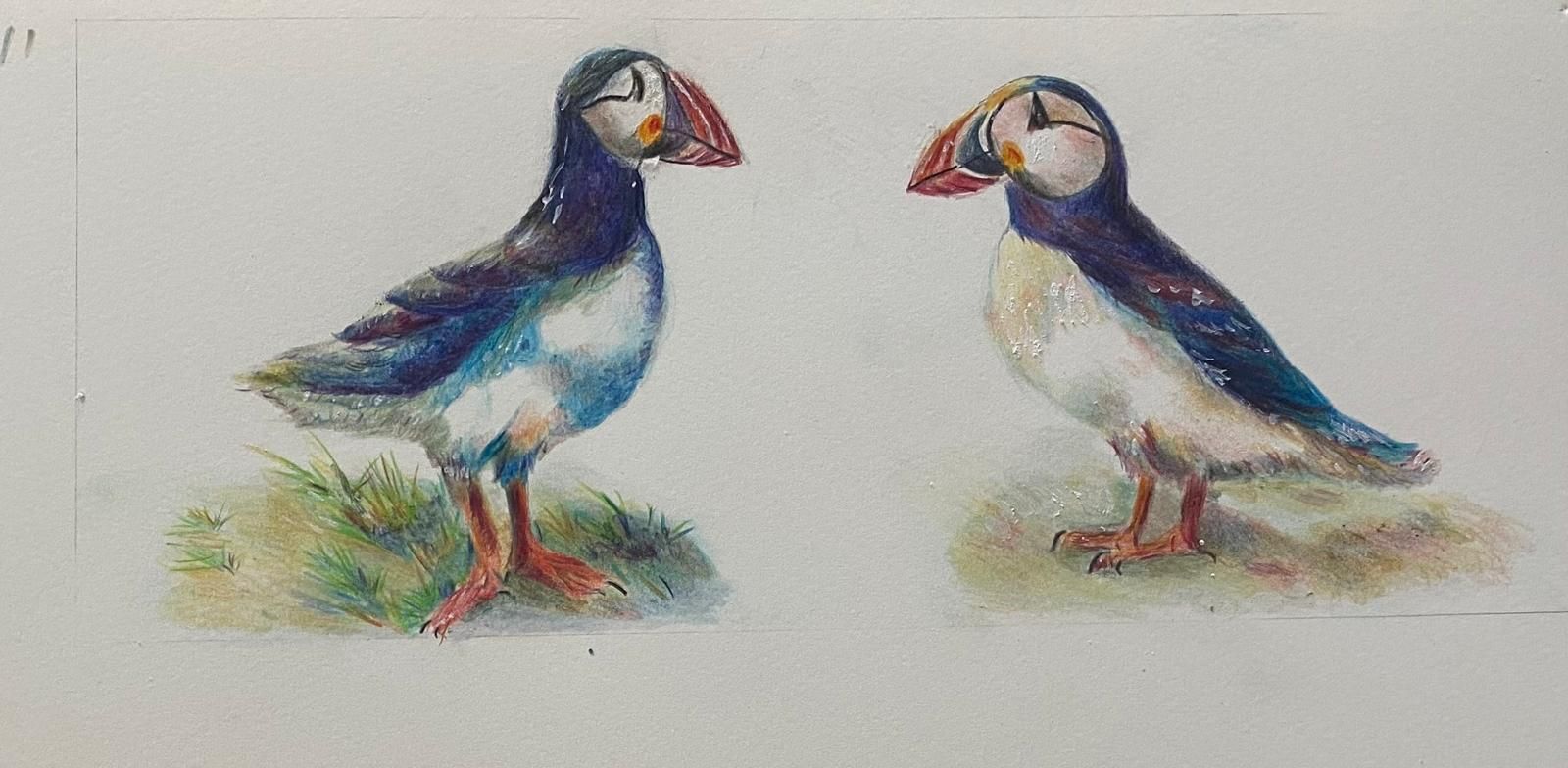 Two puffins standing on grass, painted in watercolor with white, blue, and orange accents.