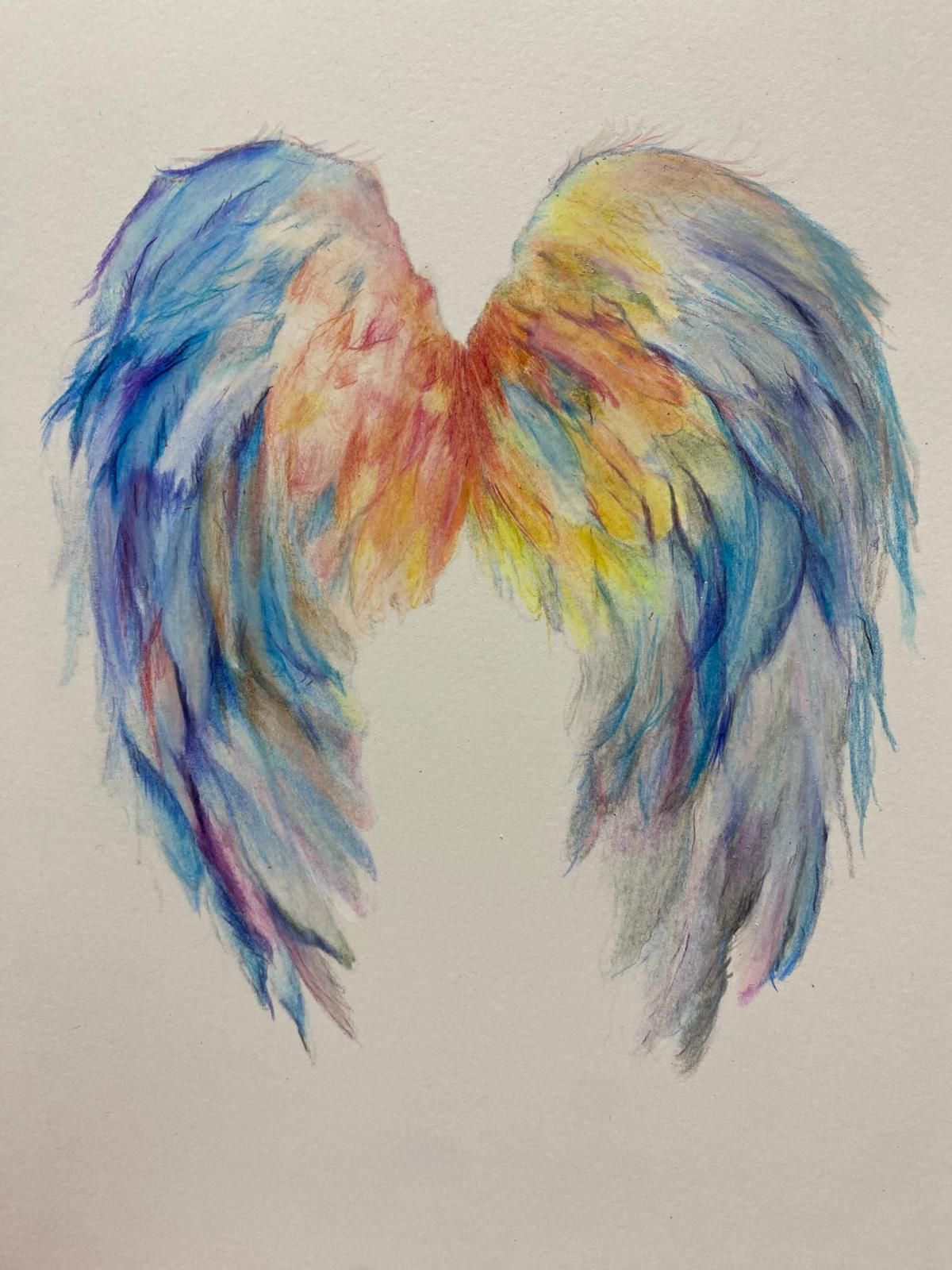 Colorful angel wings, blending blues, pinks, and yellows, spread against a white background.