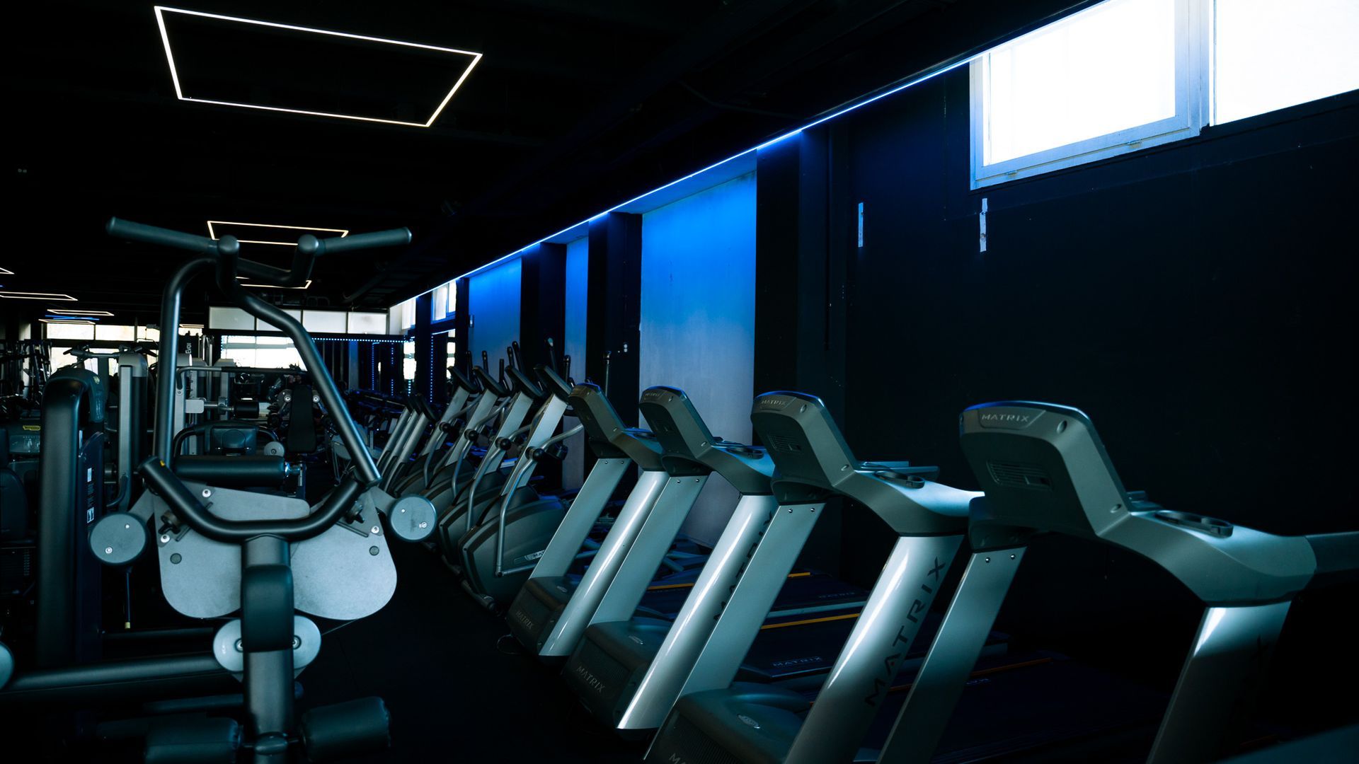 Er staan veel loopbanden in deze sportschool.