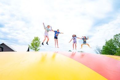 a group of children are jumping on a bouncy pillow .