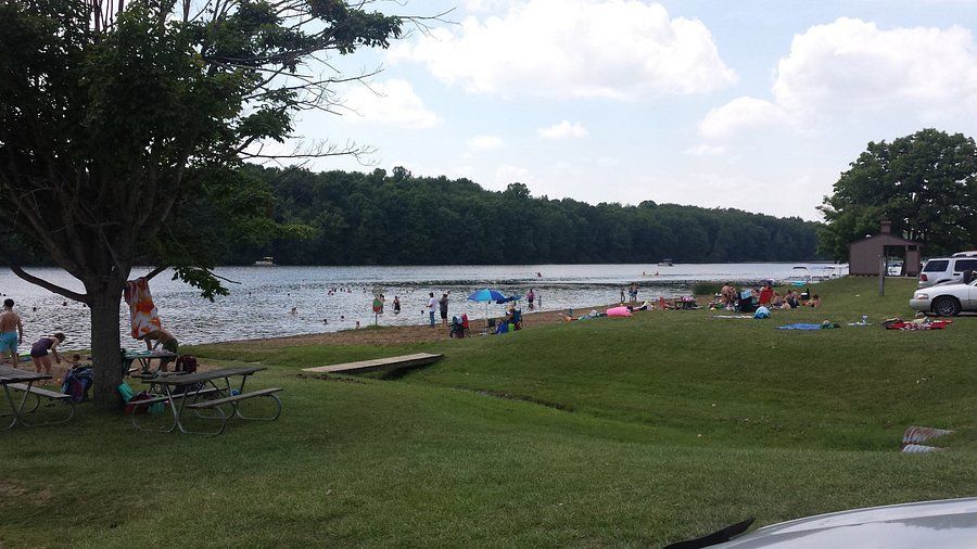 a bunch of blue kayaks are stacked on top of each other in the woods .