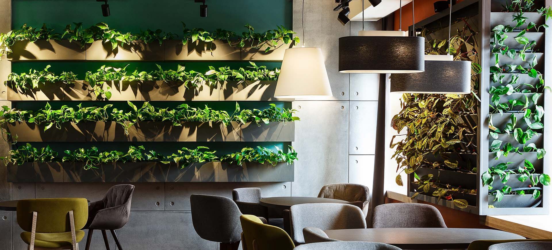 Modern café interior with vertical green plant walls and hanging lights.
