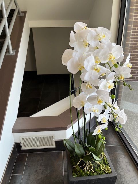 White orchids in a black planter next to stairs with a brown handrail.