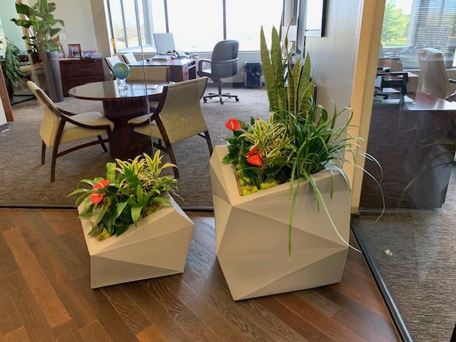 Two modern geometric planters with vibrant green plants and red flowers in an office setting.