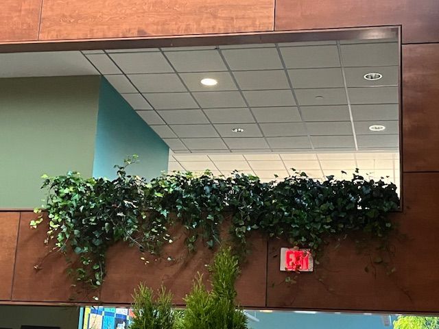 A rectangular mirror with faux ivy, reflects a hallway with a drop ceiling and an exit sign.