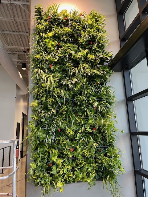 Vertical garden wall with lush green plants, built into an interior wall.