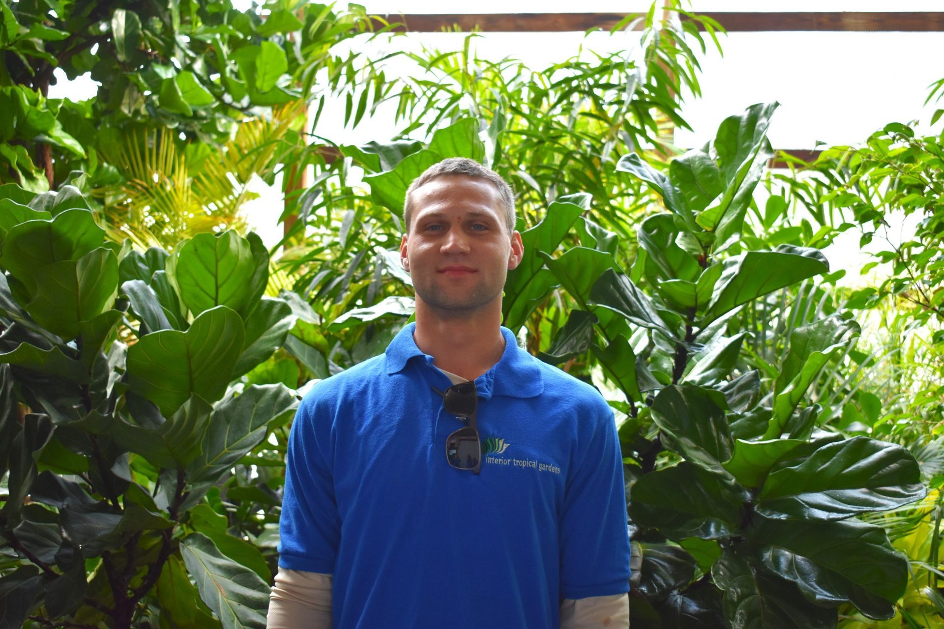 Man in blue shirt, smiling, in front of lush green plants in a greenhouse setting.