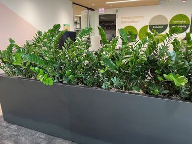 Professional Plant Installation | Chicago, IL