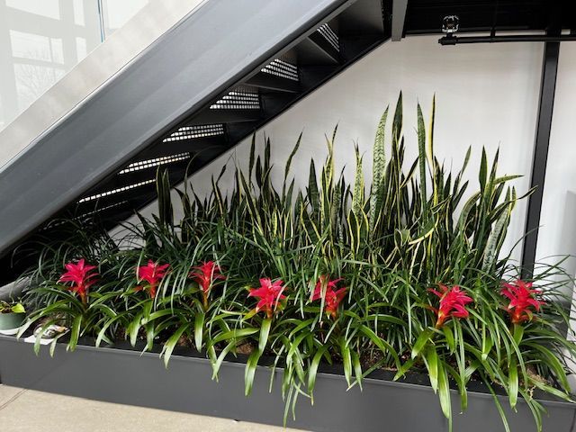 Planter box with red flowers and tall green plants under black metal stairs.