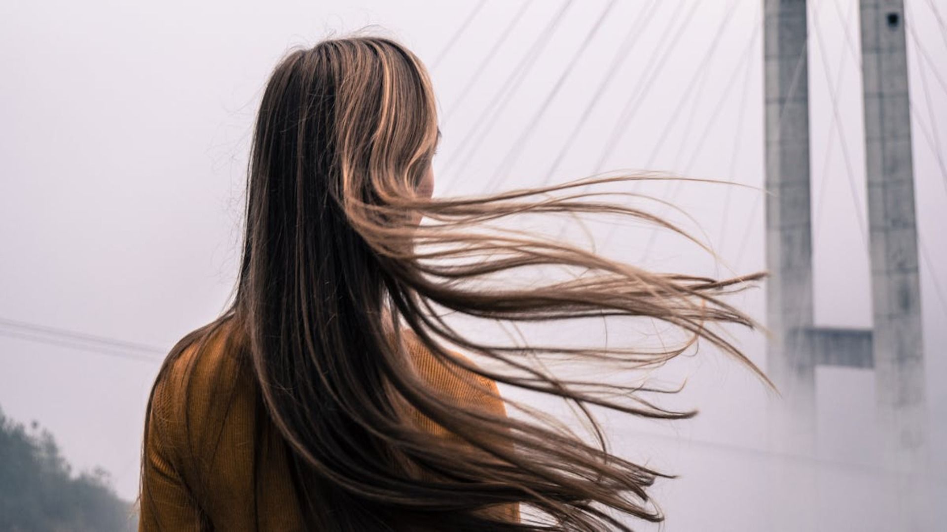 Una persona con cabello castaño largo y suelto permanece de espaldas a la cámara
