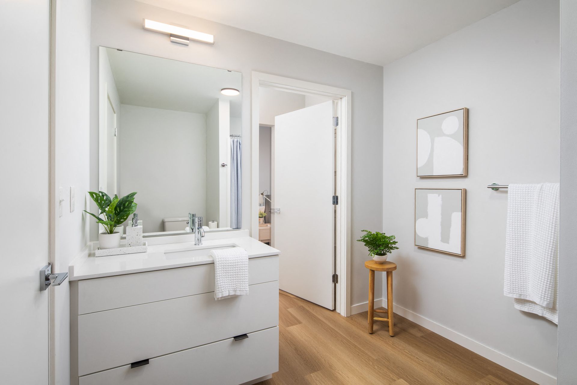 Modern bathroom with a white double-drawer vanity, large mirror, and a small plant on the counter.