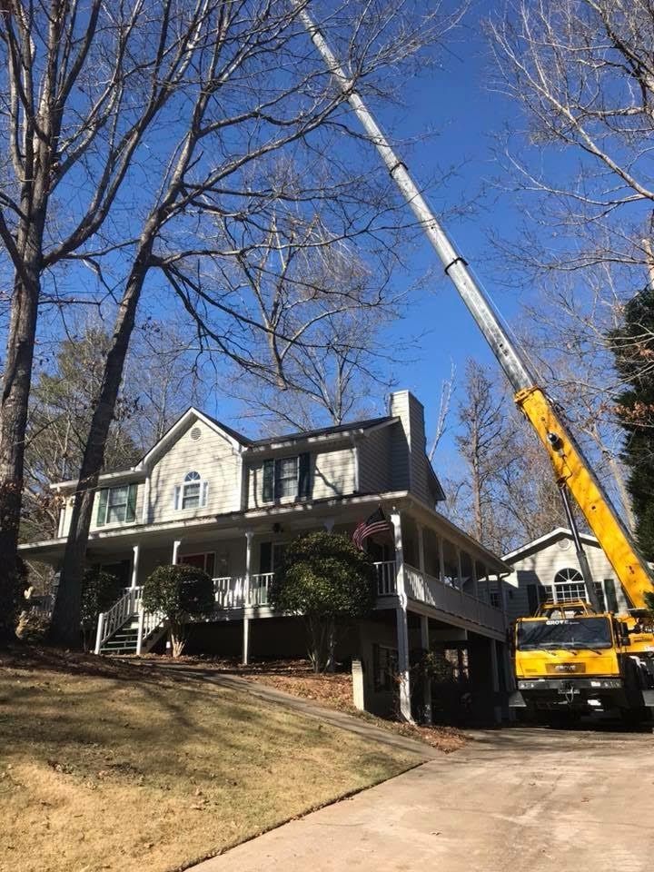 Tree Service and Landscaping Canton GA