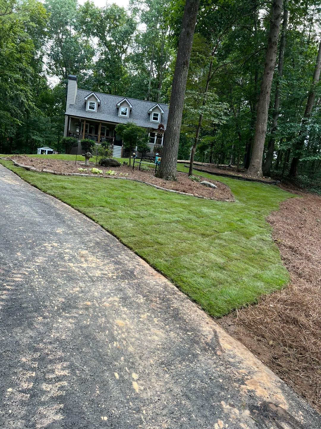 Tree Service and Landscaping Holly Springs GA