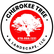 Cherokee Tree Service Canton