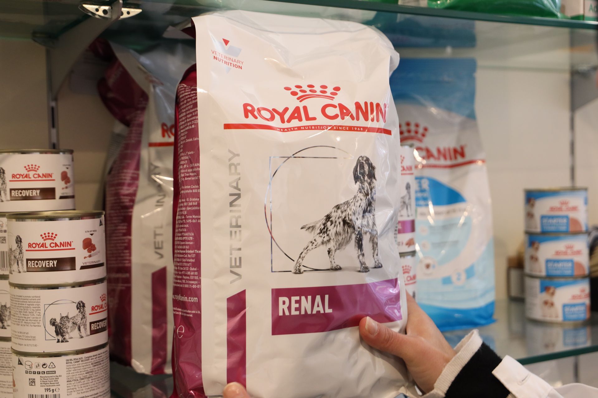 crocchette royal canin