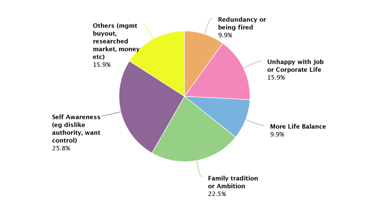 Screenshot of pie chart showing reasons why these entrepreneurs made the switch from corporate escapee to business owner