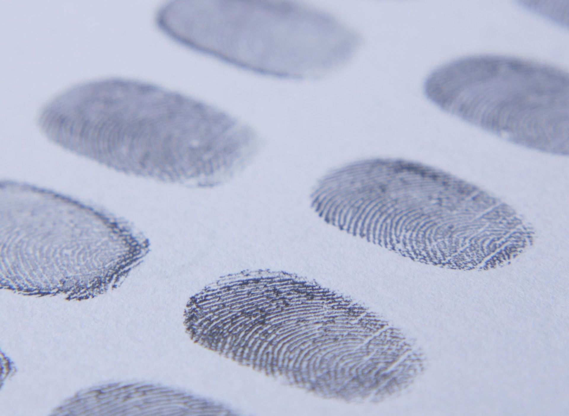 Investigative Services