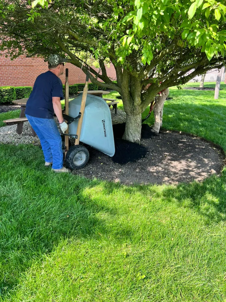 A man is pushing a wheelbarrow full of mulch in a park.