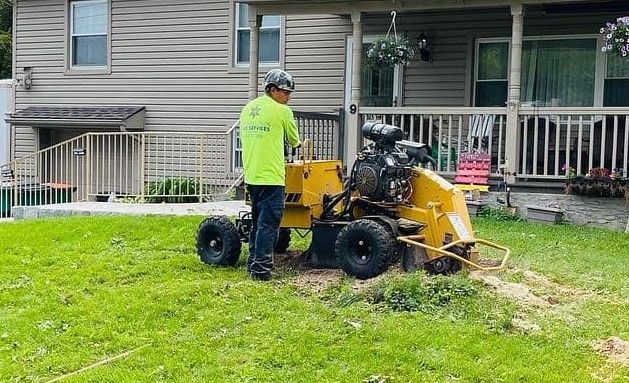 Using Stump Grinder in Pawling NY