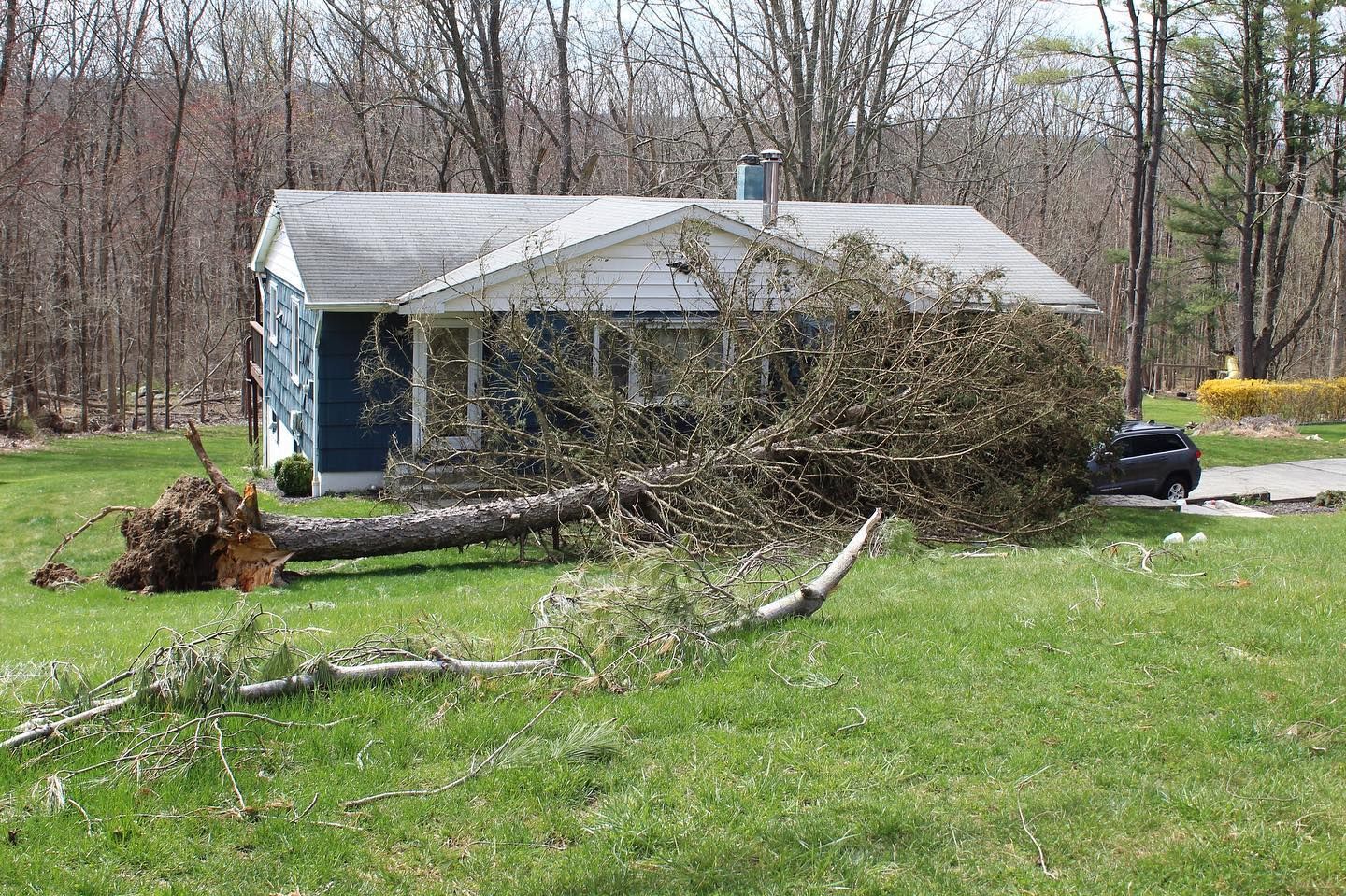 Emergency Tree Services in Pawling, NY