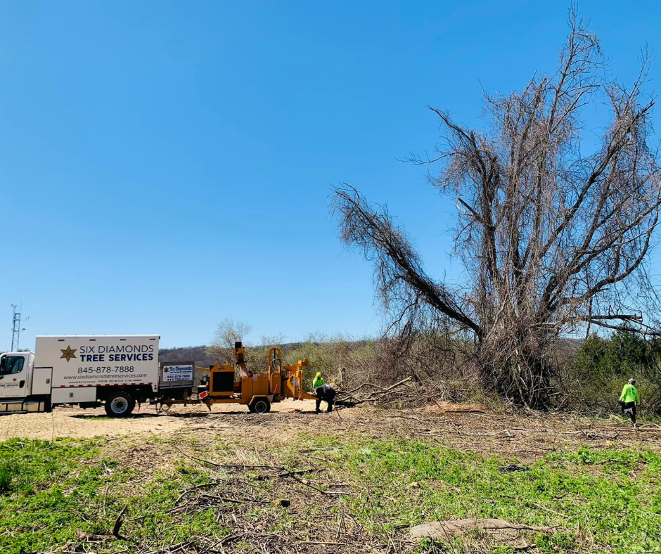 a tree is being cut down by a tree chipper in a field .