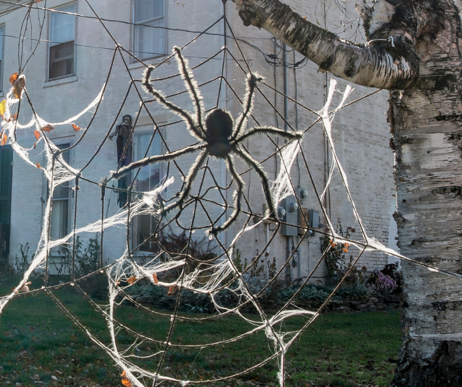 Halloween Spider Web in Tree