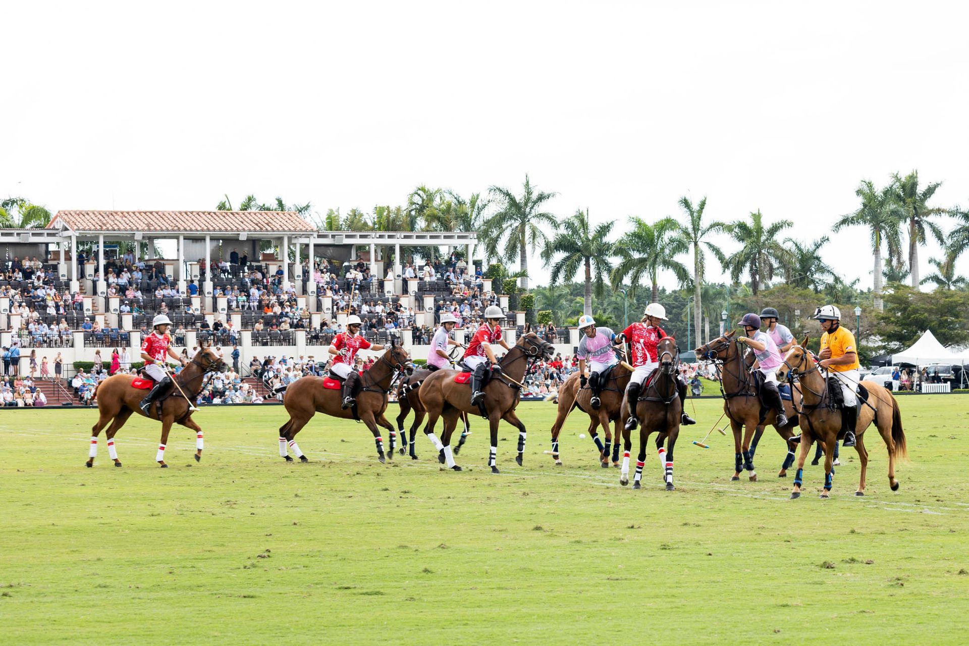 A group of people are riding horses on a field.