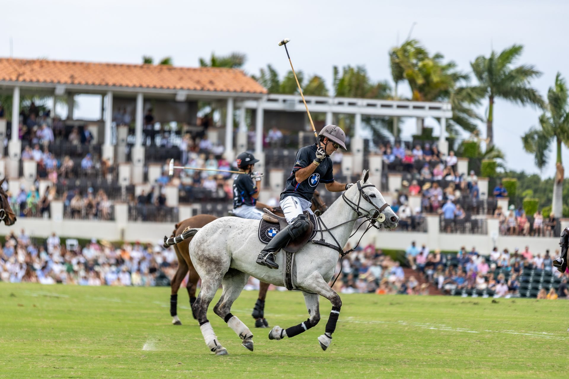 Polo match in progress; player on a gray horse with mallet raised, crowd in the background.