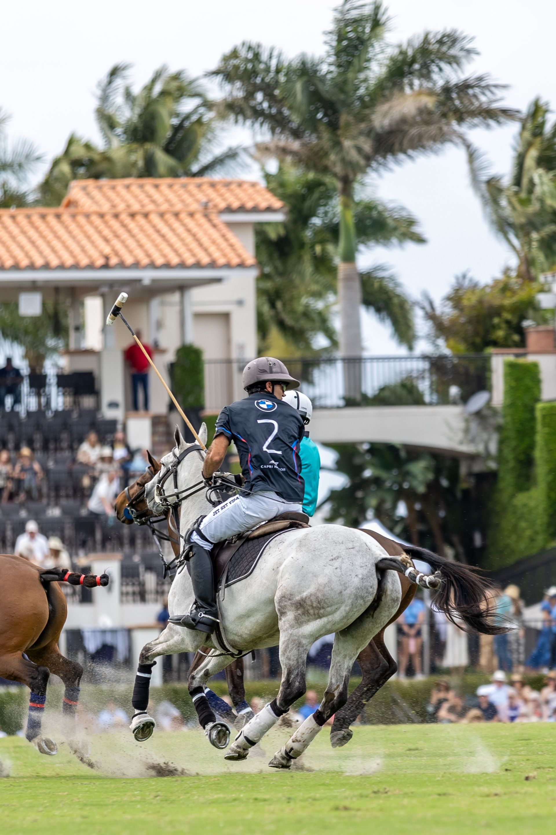 Polo player on a spotted horse, swinging a mallet, during a match on a green field. Spectators and buildings in background.
