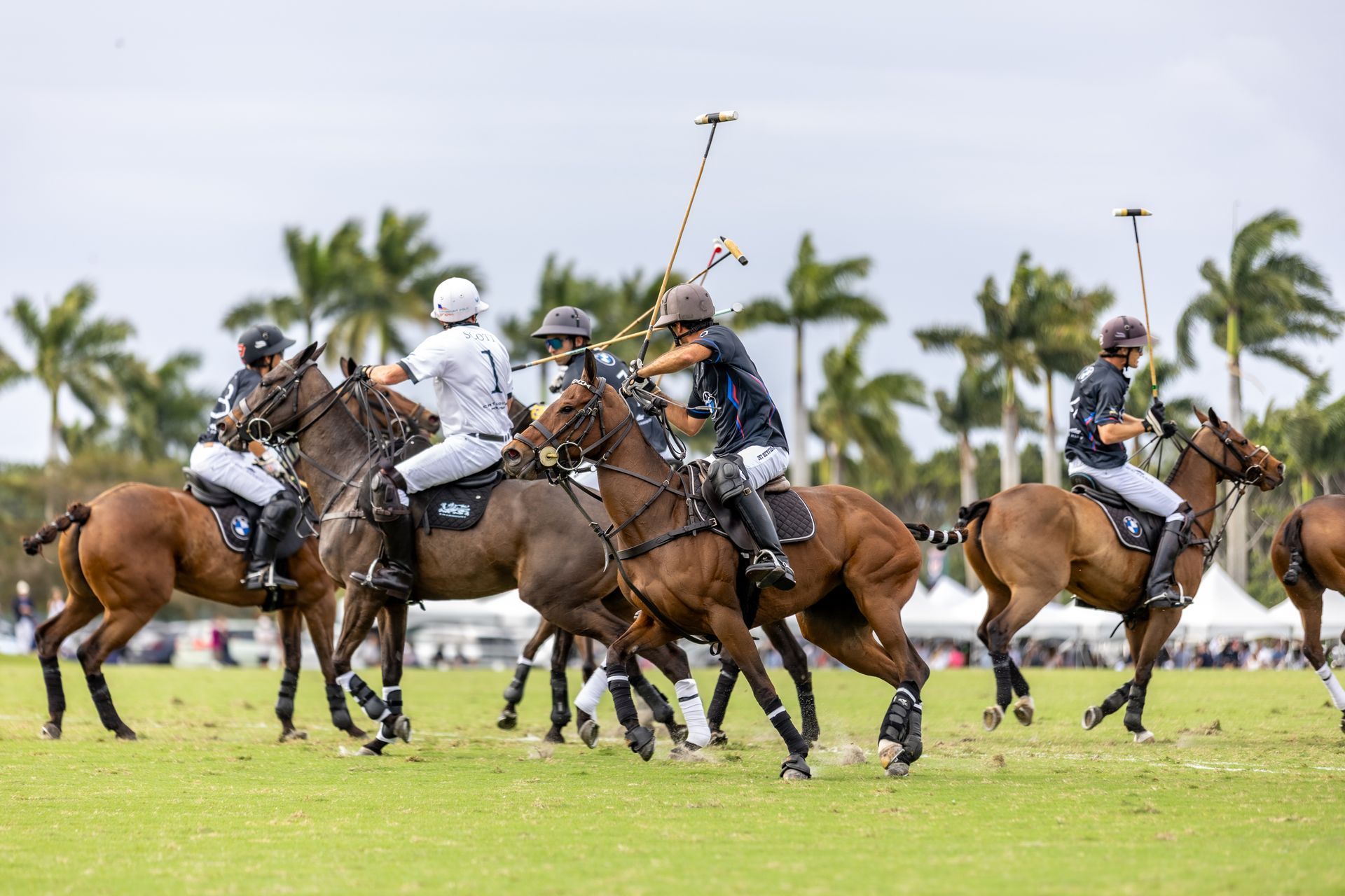 Polo match in progress; riders on horseback swing mallets. Green field, palm trees in the background.