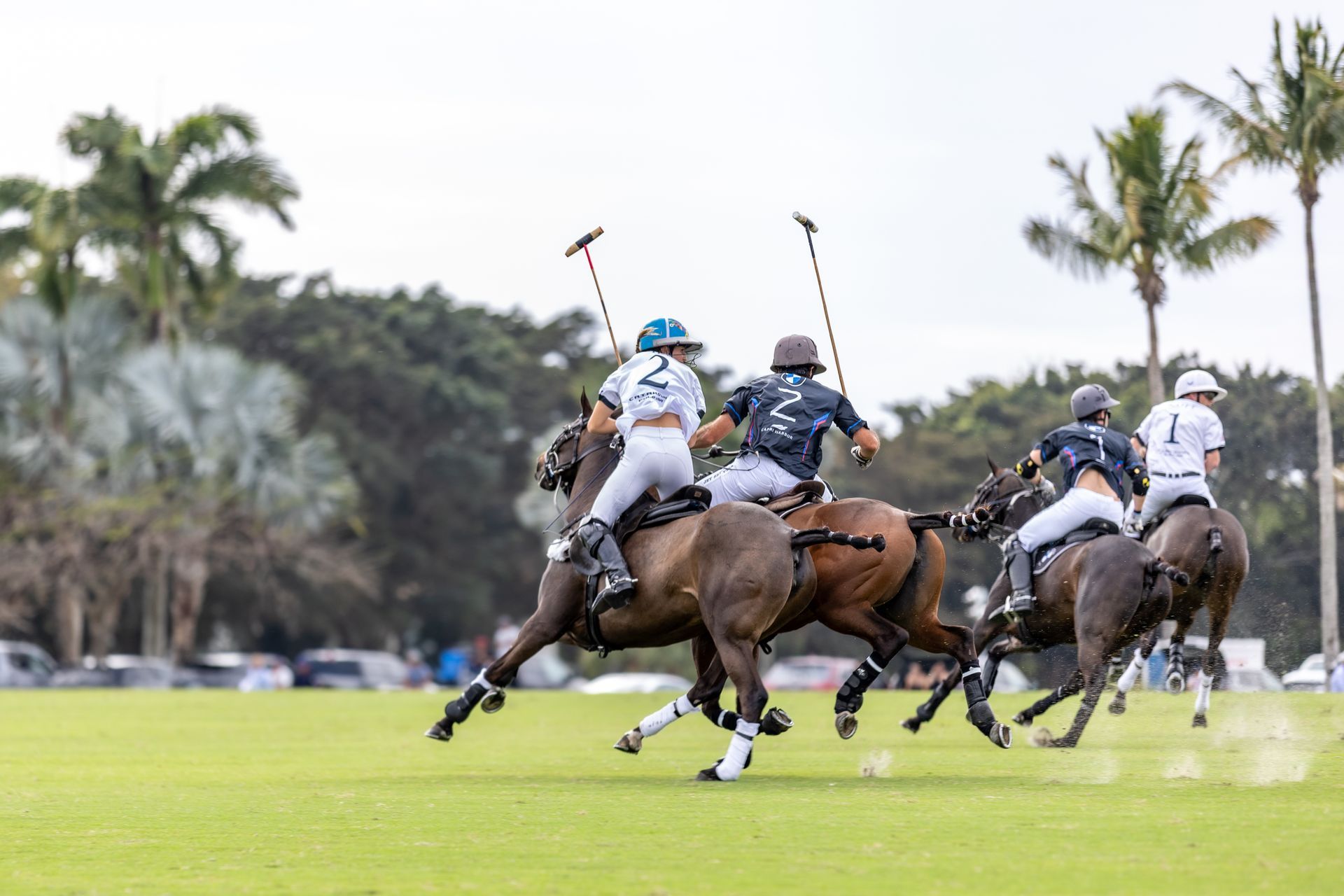 Polo players on horseback, swinging mallets. Green field with palm trees.