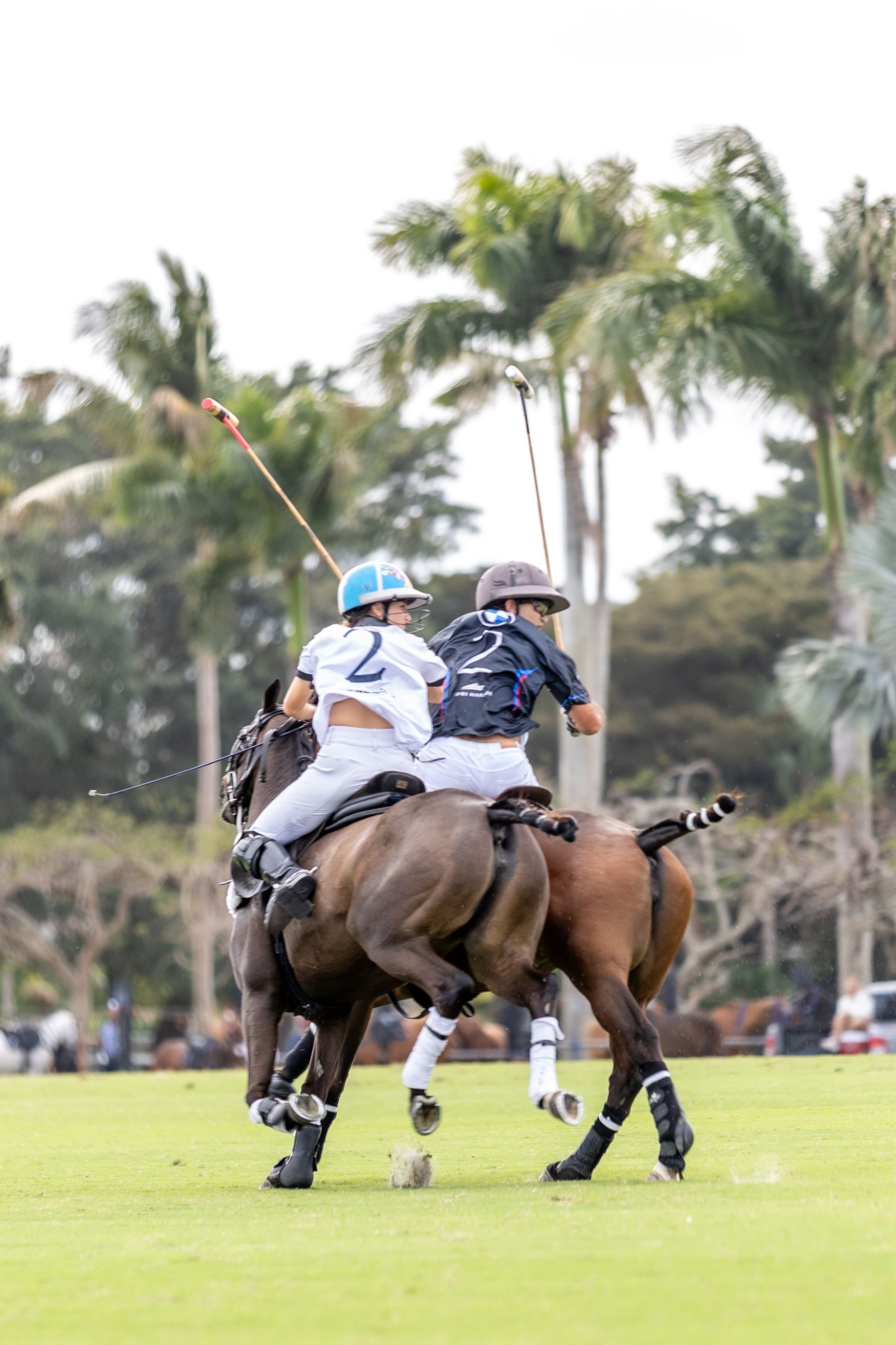 Two polo players on horses, one in blue helmet, the other in brown, swing mallets on a green field.