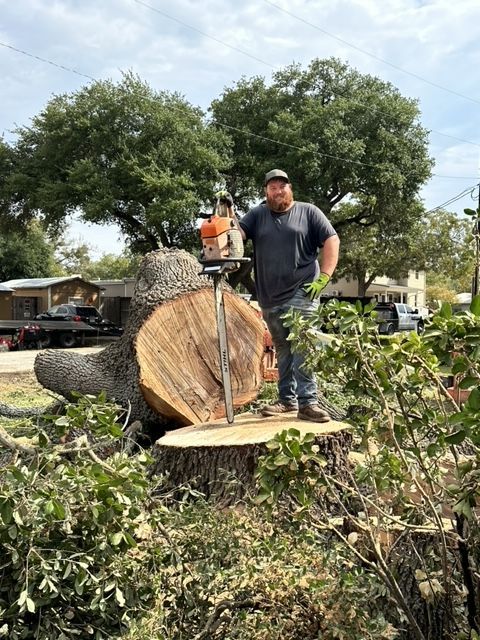 Owner posed with chainsaw tree stump