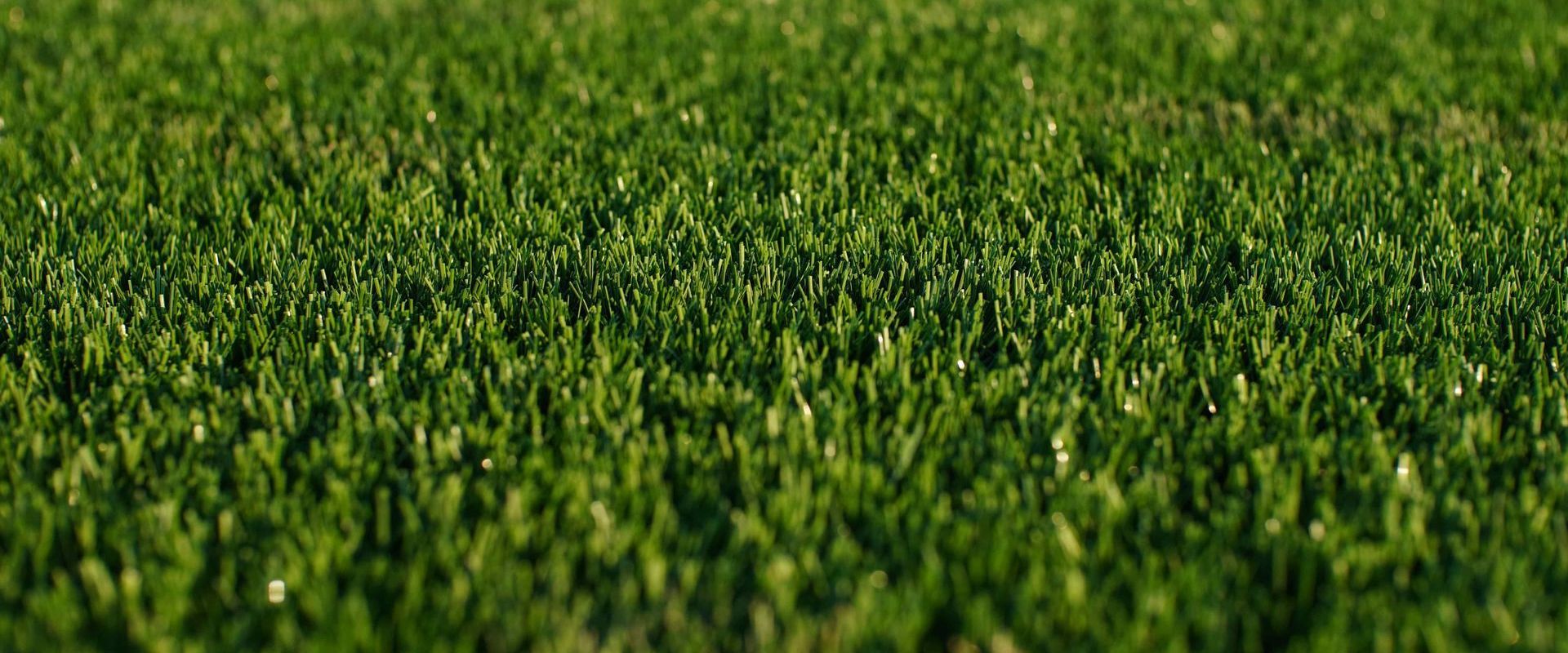 Close Up Shot Of Synthetic Grass