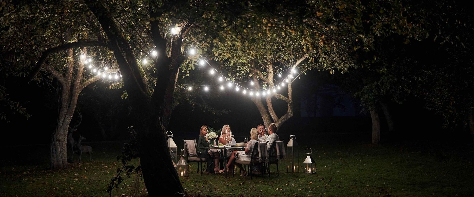 Having Dinner With Friends Under Rope Lights Strung From Trees