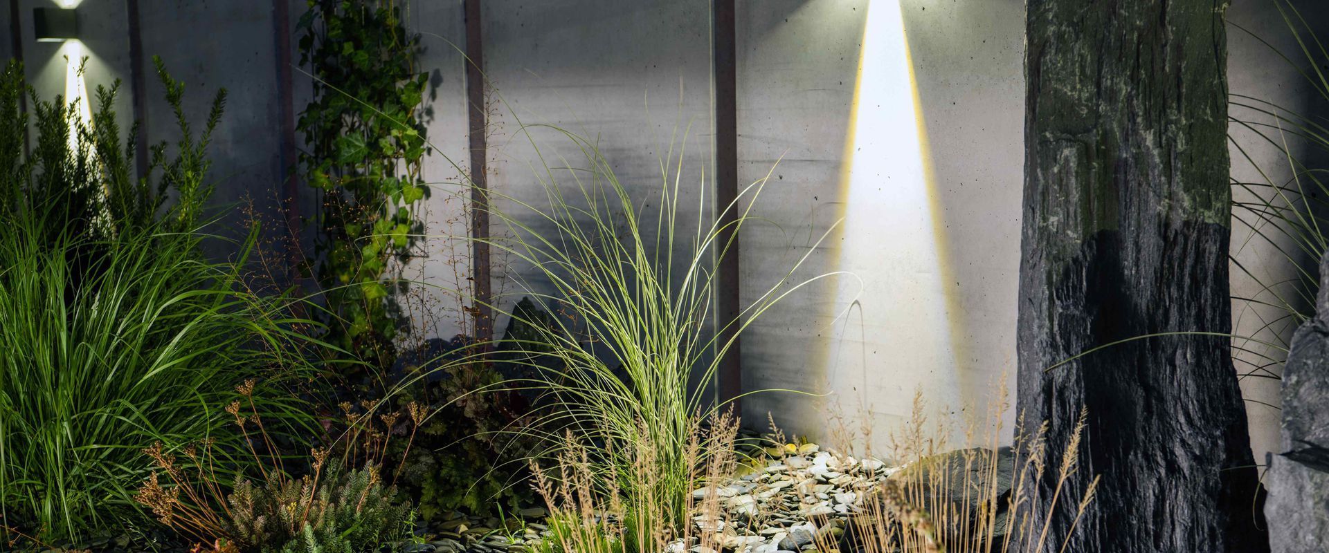 Modern Rockery Garden Illuminated With Downlight