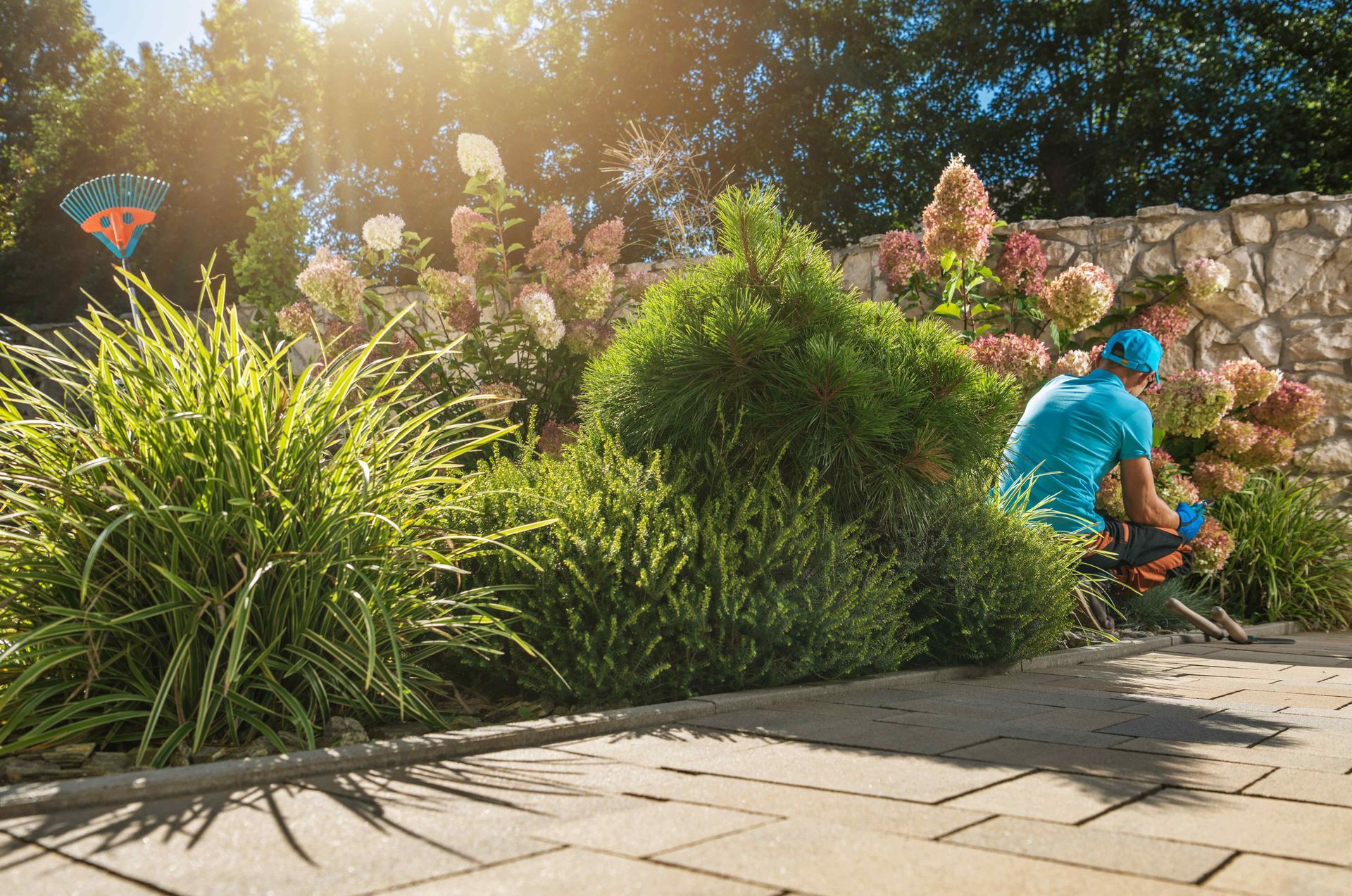 Professional Landscaper Taking Care Of Gardens In Irving Texas