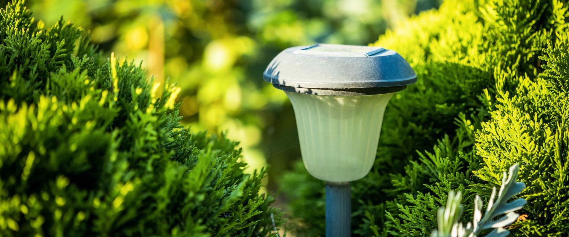 Solar Powered Landscape Lights