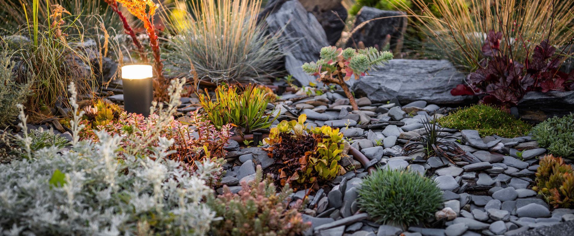 Xeriscape Garden Illuminated At Night