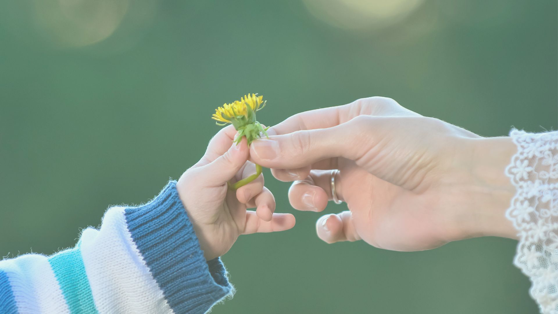 uma criança está dando uma flor para uma mulher.