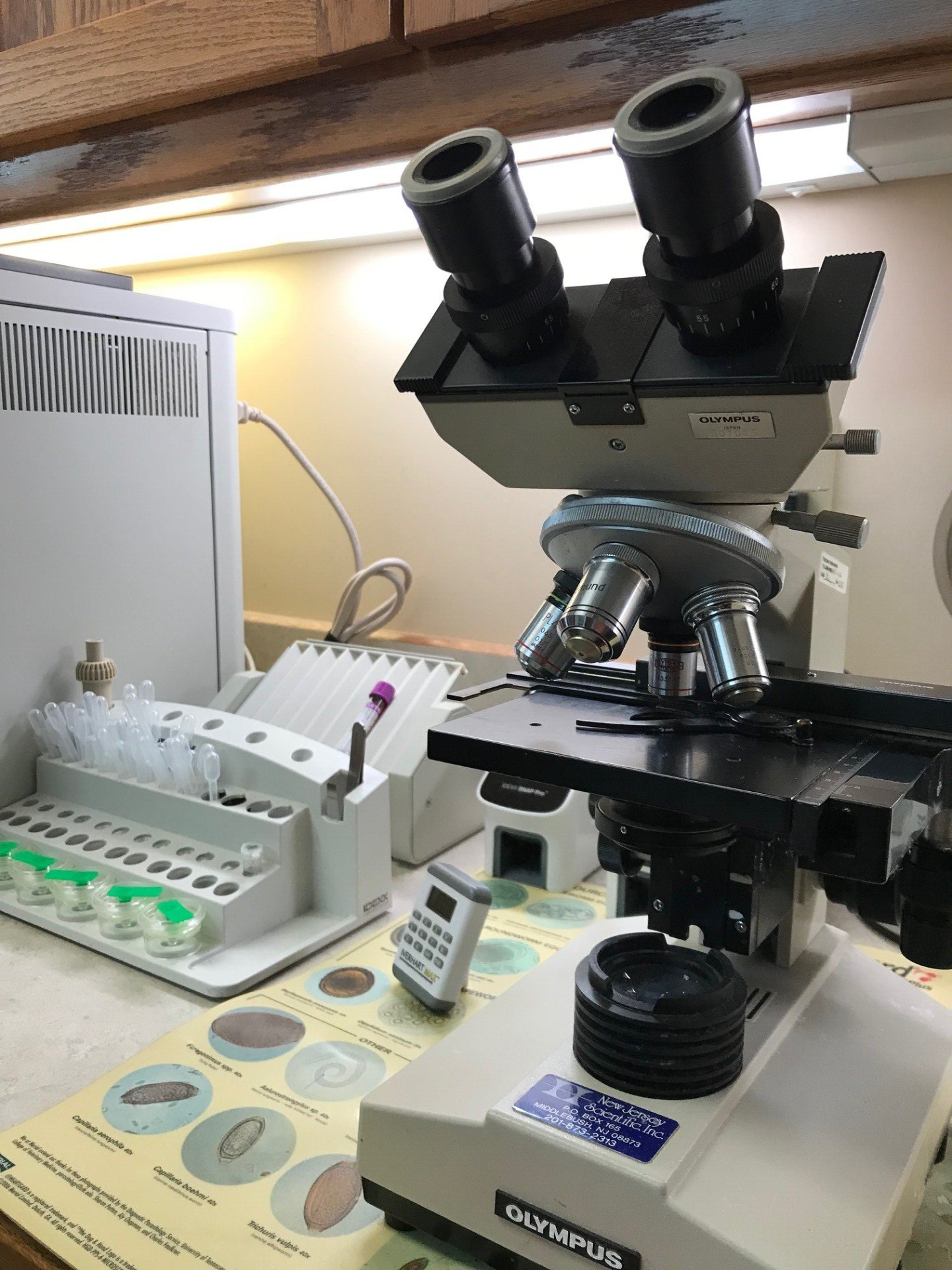 Cute Dog — Topeka, KS — Topeka Veterinary Hospital