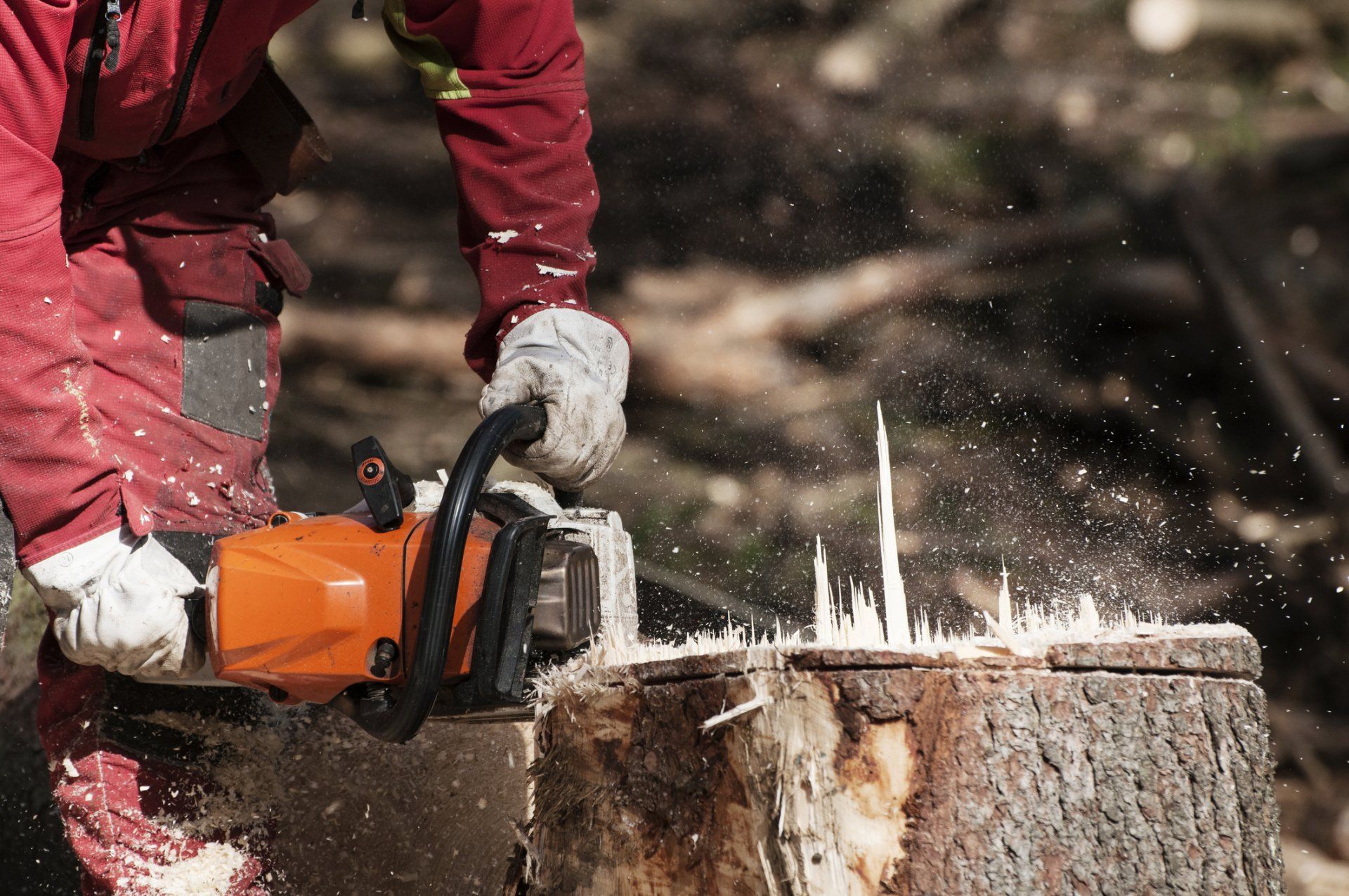 Removal — Worker Cutting the Stump in Tustin, CA
