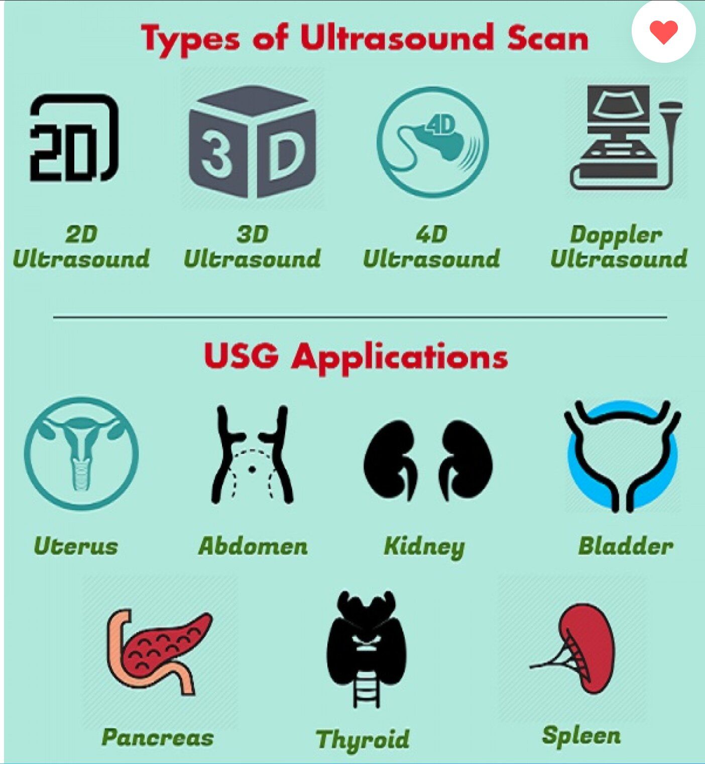 Ultra sound scan