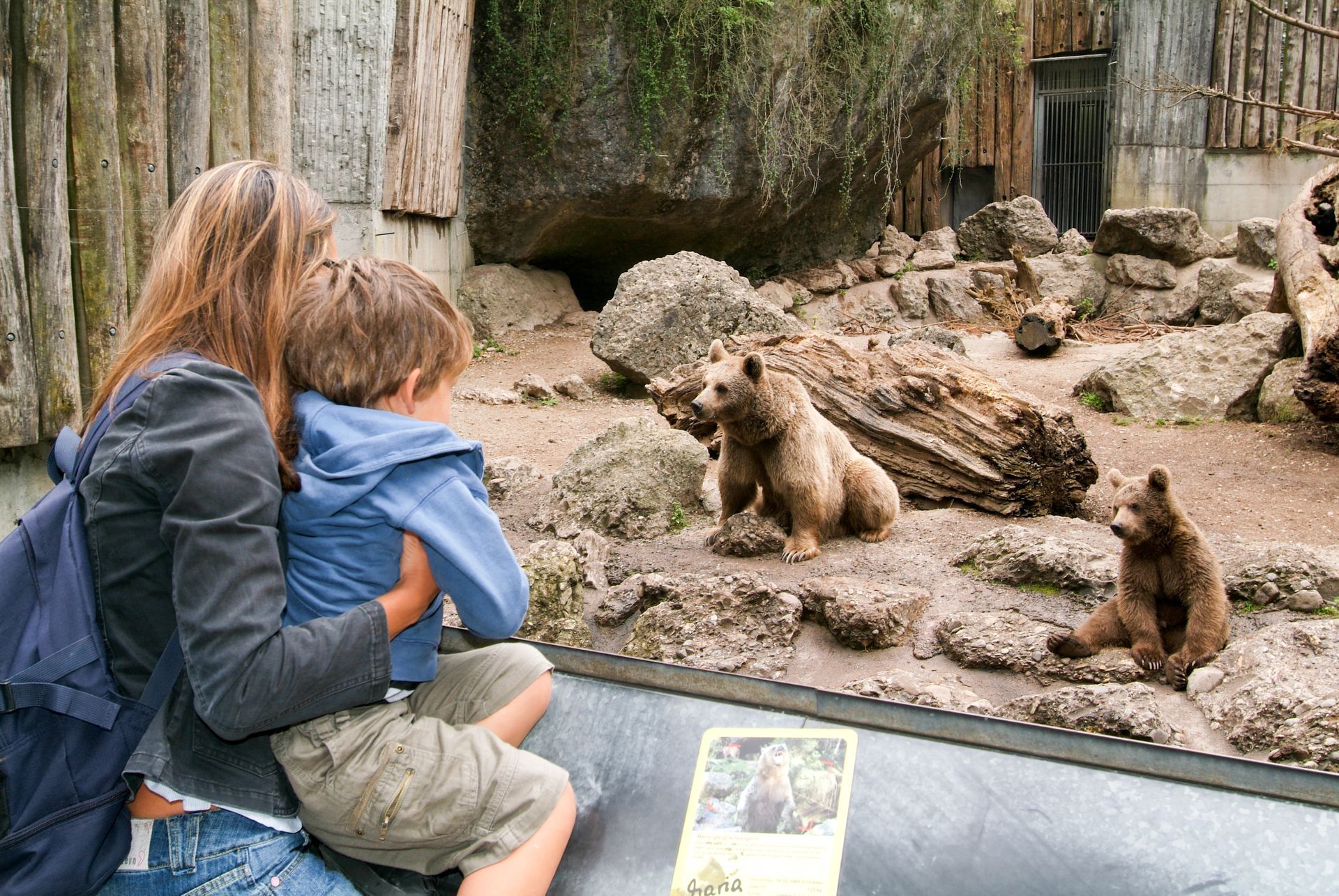 A woman and child are looking at bears in a zoo enclosure